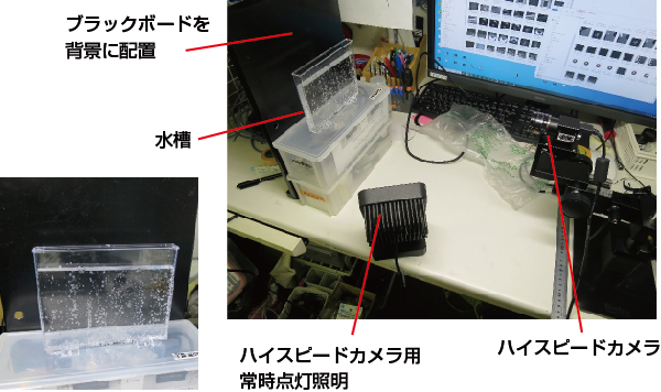 気泡の観察