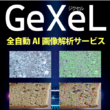 Gixel　ジクセル